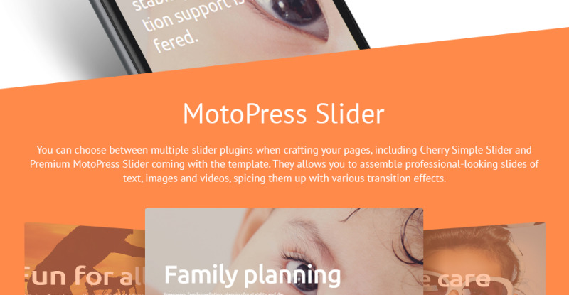 Family Planning WordPress Theme - Features Image 3