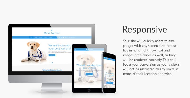 Dog Cat Clinic Website Template #57690 - TemplateMonster