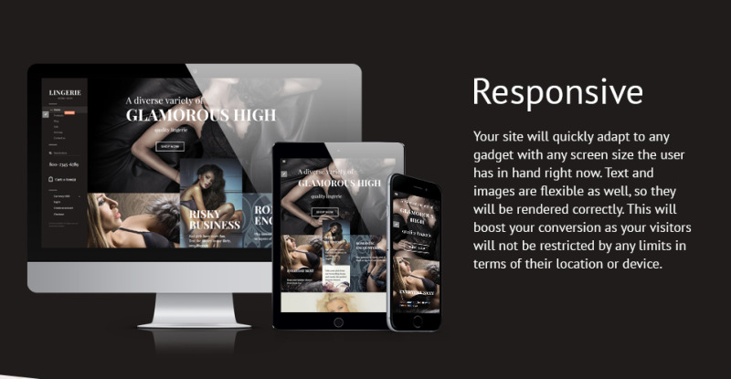 Responsives Shopify Theme für Unterwäsche #58057 - Bildeigenschaften 1