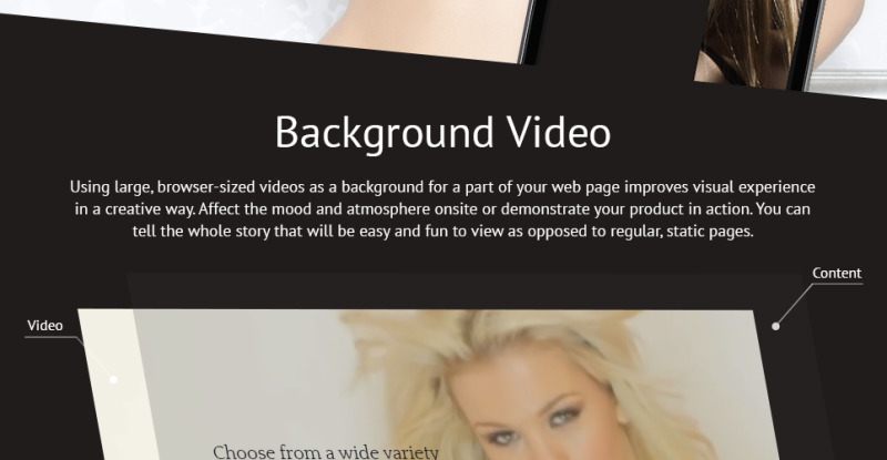 Responsives Shopify Theme für Unterwäsche #58057 - Bildeigenschaften 5