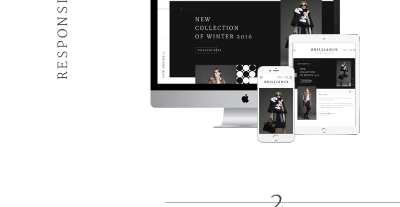Brilliance Shopify Theme - Features Image 2