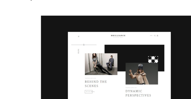 Brilliance Shopify Theme - Features Image 10