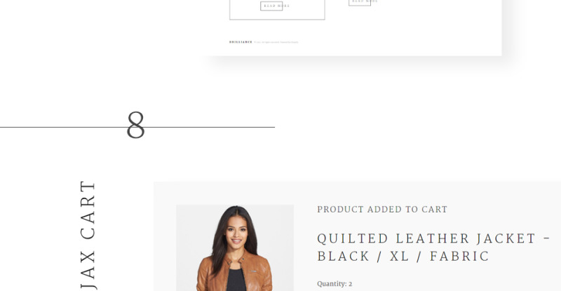 Brilliance Shopify Theme - Features Image 12