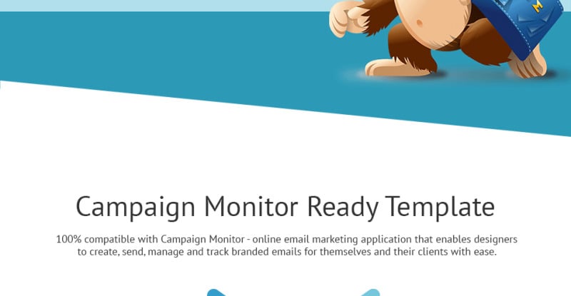 Medical Responsive Newsletter Template TemplateMonster