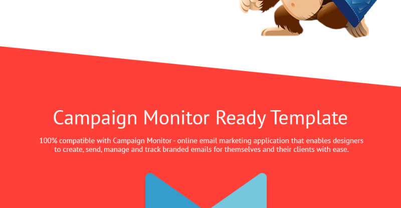 Medical Responsive Newsletter Template TemplateMonster