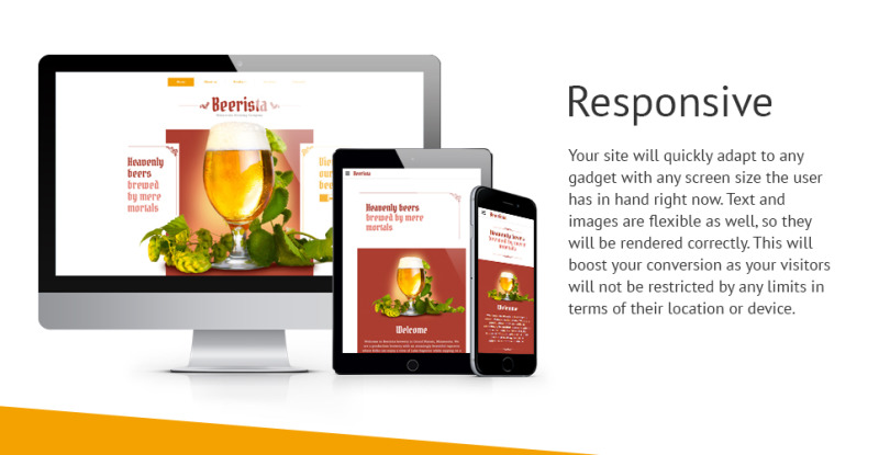 Beerista网站模板 - Features Image 1