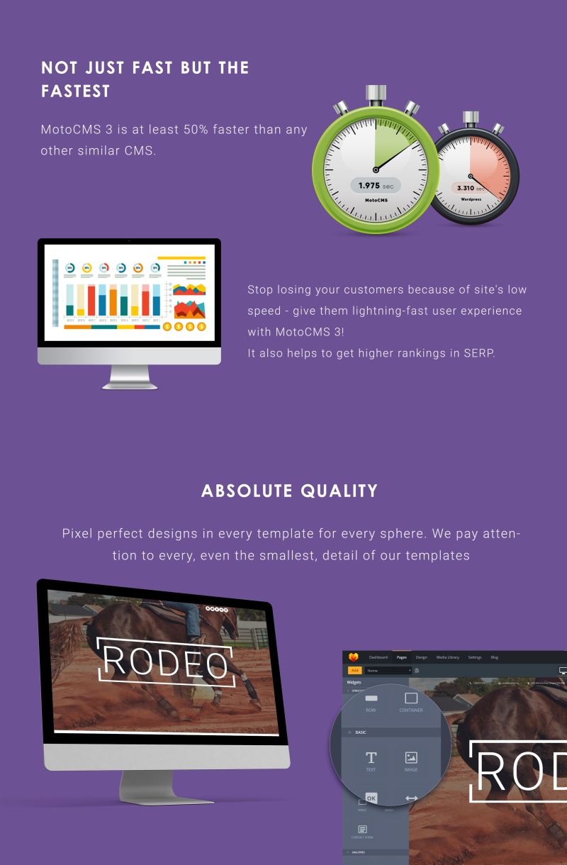 Horse Moto CMS 3 sablon - Features Image 4