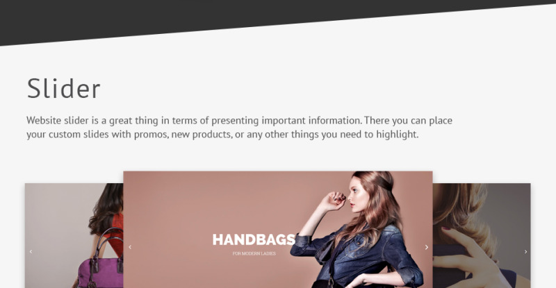 Handbags WooCommerce Theme - Features Image 2
