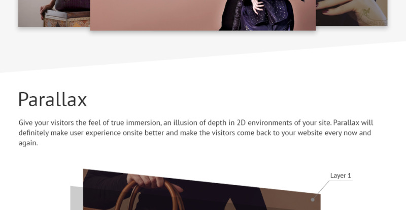Handbags WooCommerce Theme - Features Image 3