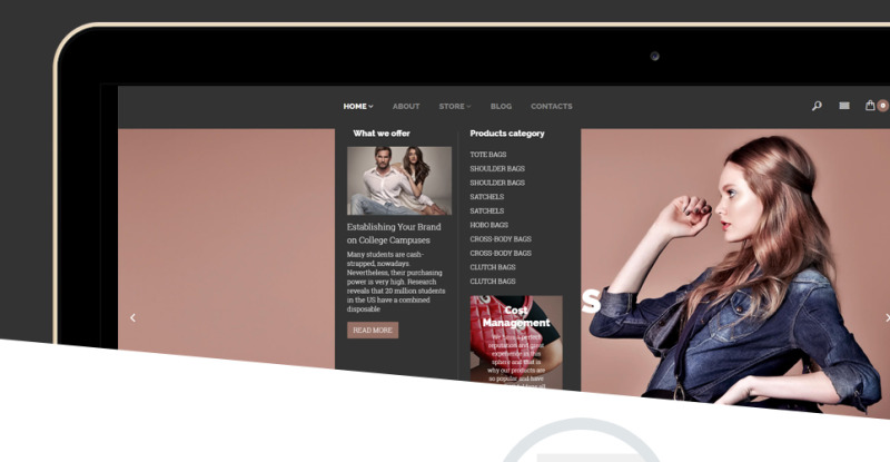 Handbags WooCommerce Theme - Features Image 5