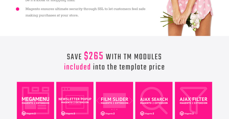 Paltirea Magento Theme - Features Image 2