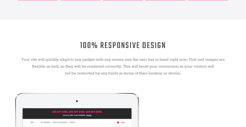 Paltirea Magento Theme - Features Image 3