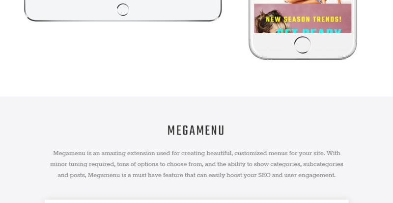 Paltirea Magento Theme - Features Image 5