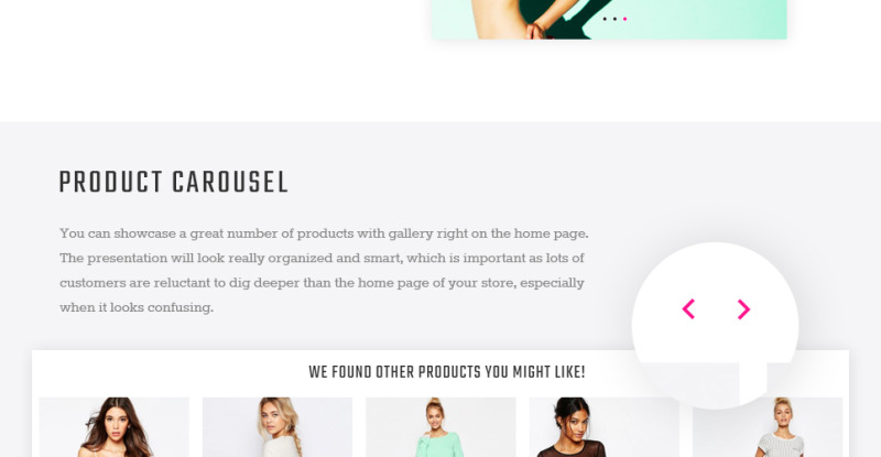 Paltirea Magento Theme - Features Image 11