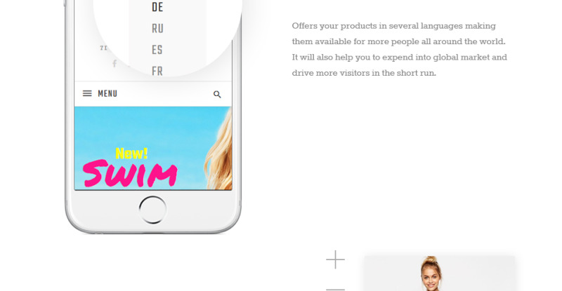 Paltirea Magento Theme - Features Image 13