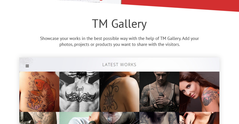Tattoo Salon Responsive Website Template - Features Image 7