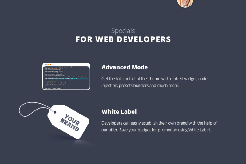 ReMobile MotoCMS 3 Landing Builder - Features Image 8