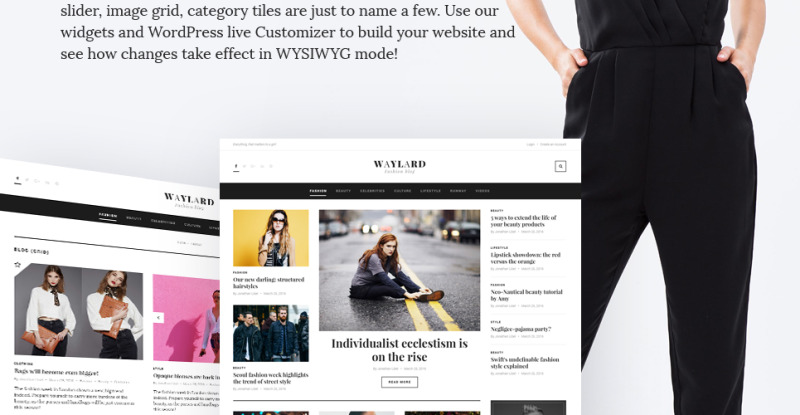 Waylard - Fashion Blog Drupal Template - Features Image 2