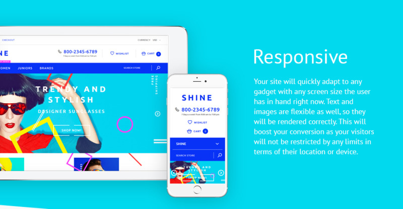 Shine Shopify Theme - Features Image 1