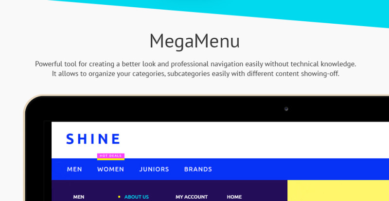 Shine Shopify Theme - Features Image 2