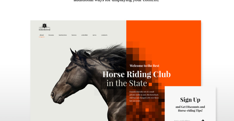 Elite Breed - Equestrian & Horse Riding Club WordPress Theme