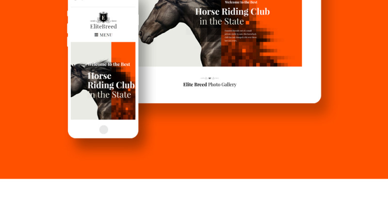 Riding club championships download machine