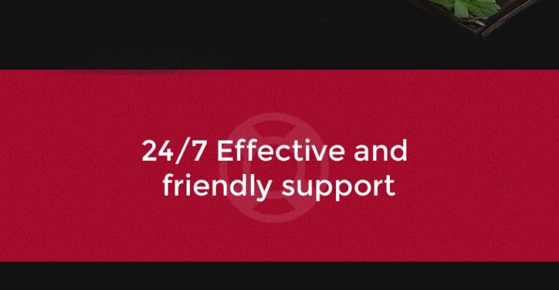 Tanaka - Japanese Restaurant Responsive WordPress thema №60113 - Eigenschappen Afbeelding 20