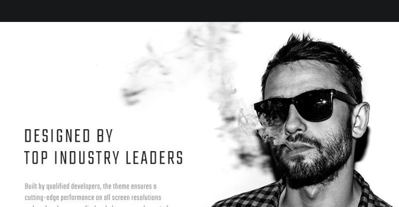 Alberto WordPress Theme - Features Image 16