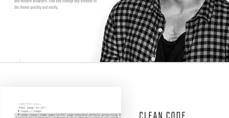 Alberto WordPress Theme - Features Image 17
