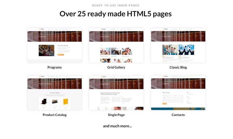 布拉德斯通学院-高校多页清洁HTML网站模板 - Features Image 2