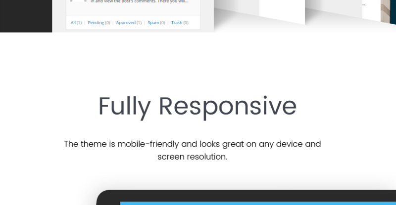 Water And Soap - Cleaning Service Company WordPress Theme - Features Image 16
