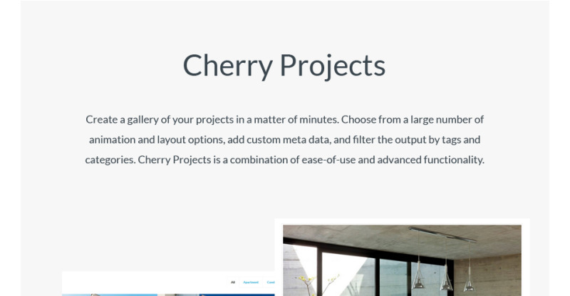 CozyHouse - Real Estate Premium WordPress Theme - Features Image 10