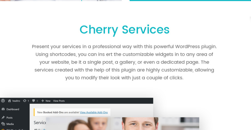 GlobalHealth - Doctor & Medical WordPress Theme - Features Image 3