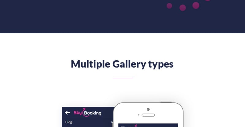 SkyBooking - Flight Booking HTML5 Website Template - Features Image 9