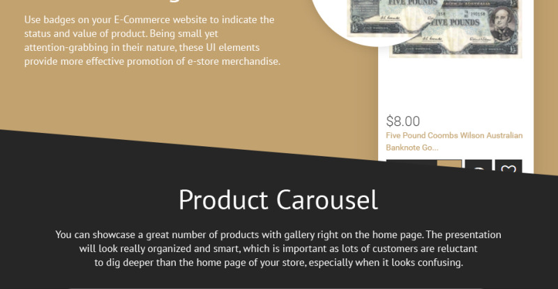 Collectible Coins & Supplies Shopify Theme - Features Image 5