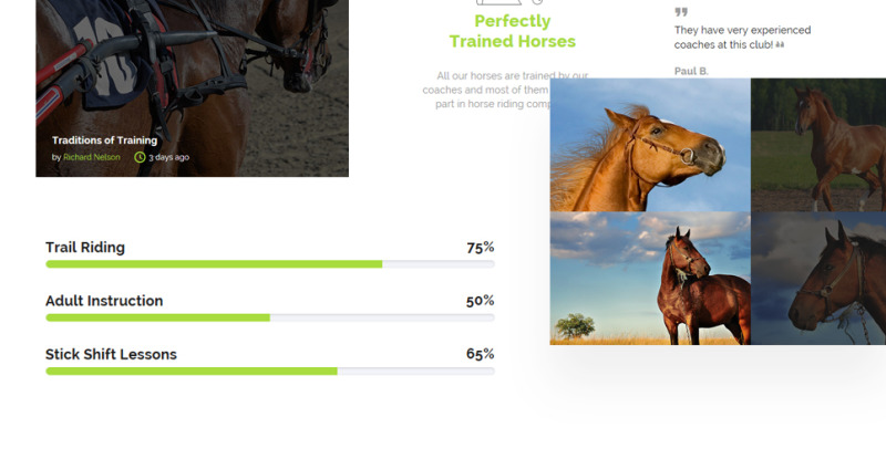 Manetgen - Horse Riding Responsive Multipage Website Template - Features Image 3