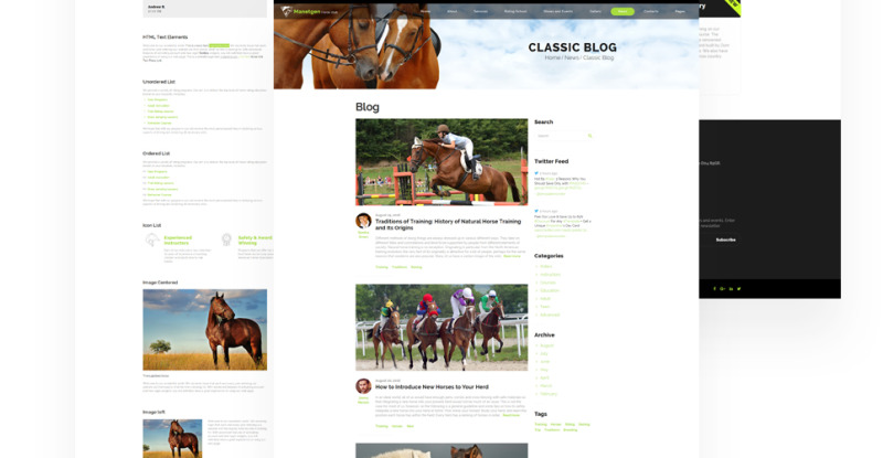 Manetgen - Horse Riding Responsive Multipage Website Template - Features Image 6
