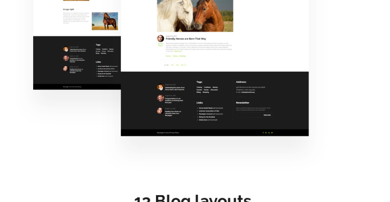 Manetgen - Horse Riding Responsive Multipage Website Template - Features Image 7