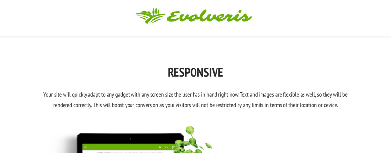 Evolveris - Gardening Store Magento Theme - Features Image 1