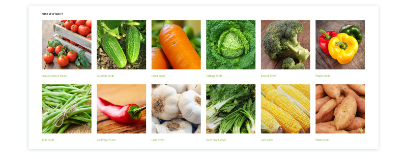 Evolveris - Gardening Store Magento Theme - Features Image 6