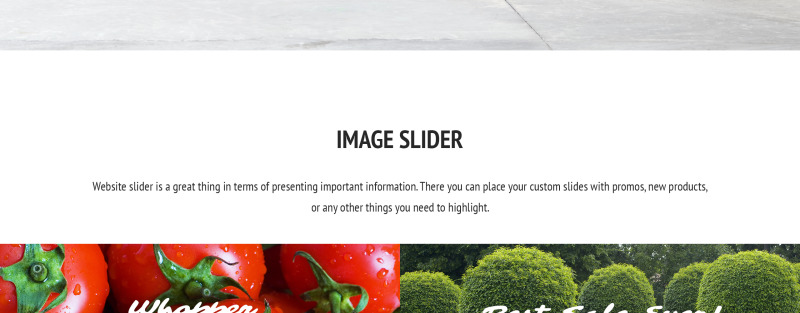 Evolveris - Gardening Store Magento Theme - Features Image 9