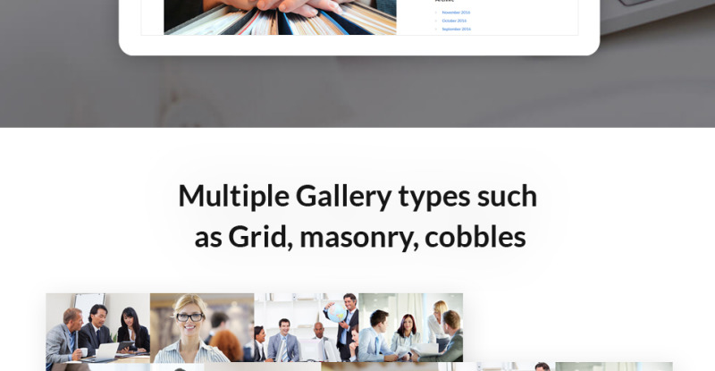 TaxAdviser - Accounting and Tax Services Company Responsive Multipage Website Template - Features Image 10