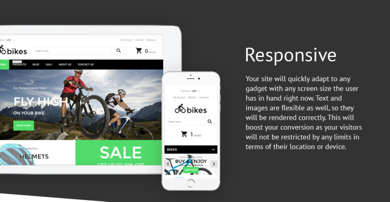 Cycling Responsive Shopify Theme - Features Image 1