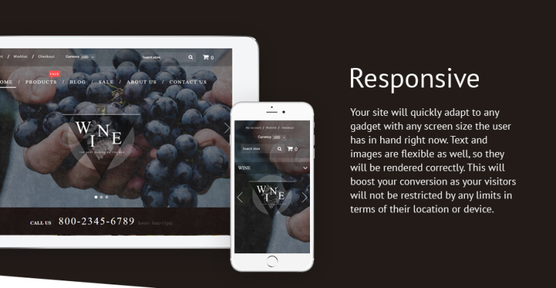 Wine - Wine Shop Responsive Shopify Theme - Features Image 1