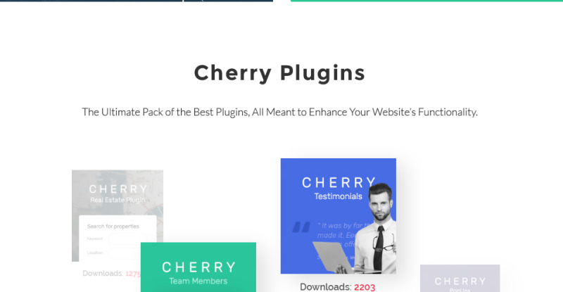 MarketOlogy - SEO and Marketing Agency Responsive WordPress Theme - Features Image 3