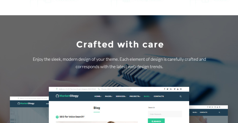 MarketOlogy - SEO and Marketing Agency Responsive WordPress Theme - Features Image 9