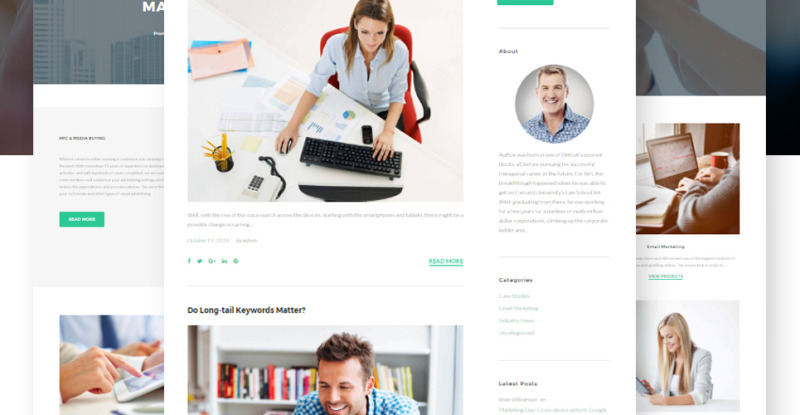 MarketOlogy - SEO and Marketing Agency Responsive WordPress Theme - Features Image 10