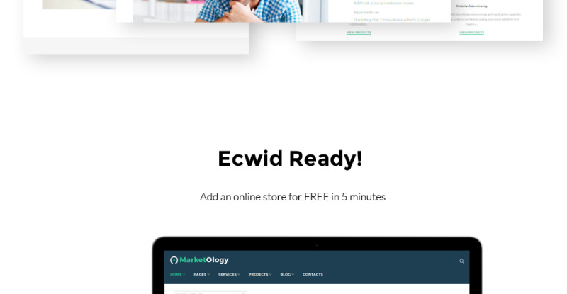 MarketOlogy - SEO and Marketing Agency Responsive WordPress Theme - Features Image 11