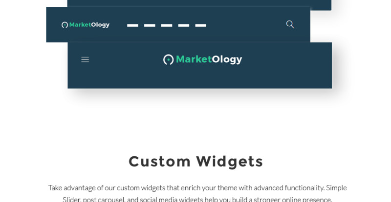 MarketOlogy - SEO and Marketing Agency Responsive WordPress Theme - Features Image 14