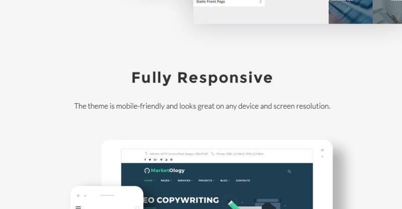 MarketOlogy - SEO and Marketing Agency Responsive WordPress Theme - Features Image 19